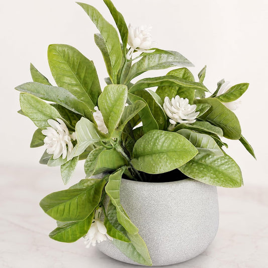 S & A Premium Artificial Plant with White Flowers in Ceramic Pot