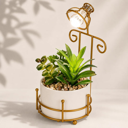 S & A Premium Artificial Succulents in Modern White Planter with LED Frame