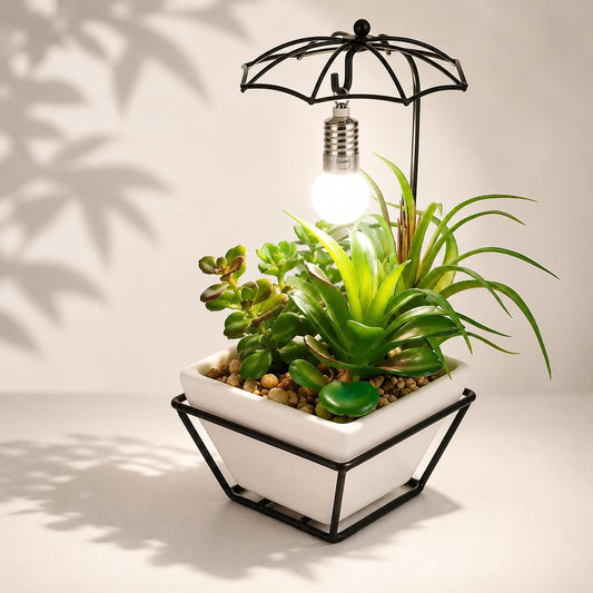 S & A Premium Artificial Succulent Plant with Umbrella LED Frame