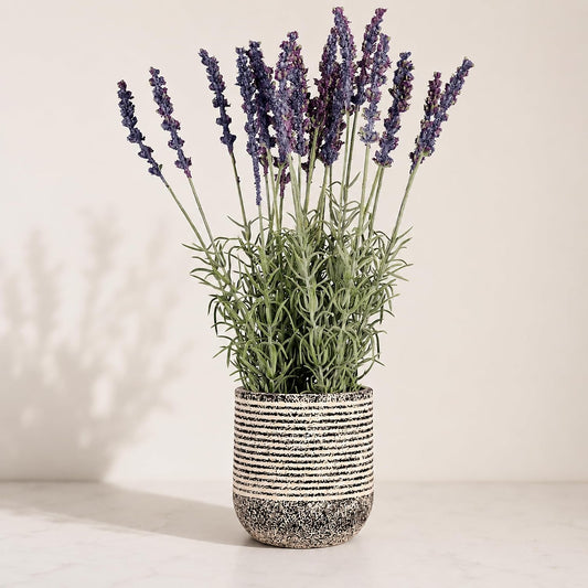 S & A Artificial Lavender Plant with Tall Ceramic Pot - 34 cm