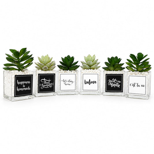 S & A Artificial Succulents in Glass Pots with Quotes - Pack of 6